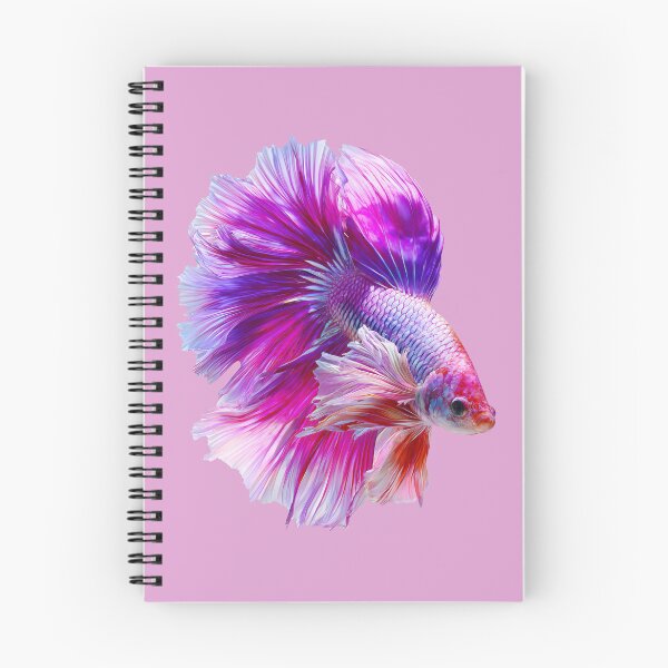 Item preview, Electric Rose Betta Siamese Fighting Fish with Bright Pink and Violet Fins Rosetail Halfmoon with Lavender designed and sold by meganohm.