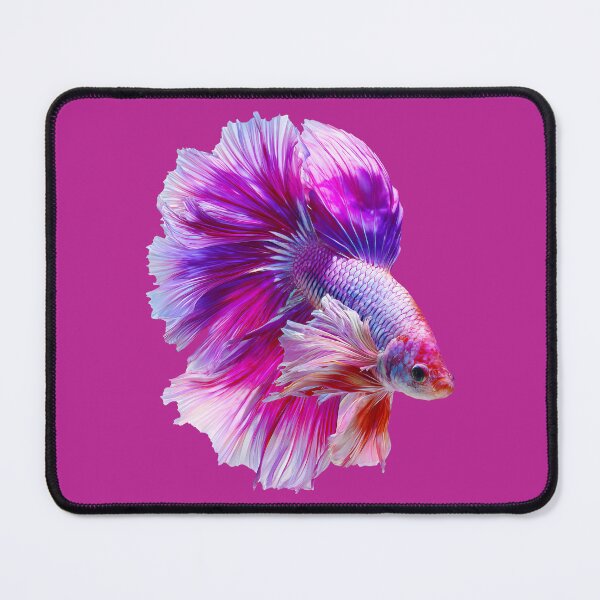 Item preview, Electric Rose Betta Siamese Fighting Fish with Bright Pink and Violet Fins Rosetail Halfmoon with Lavender designed and sold by meganohm.