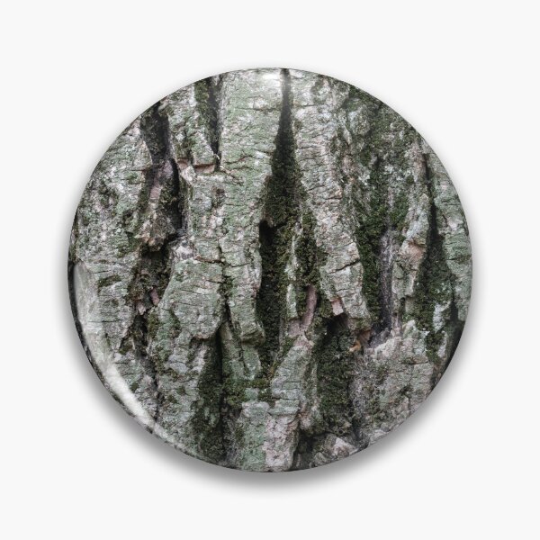 Item preview, Lichens Mosses and Grooves - Sculptural Tree Bark of a 100 Years Old Poplar designed and sold by Georgia Mizuleva.