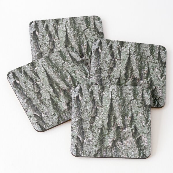 Item preview, Lichens Mosses and Grooves - Sculptural Tree Bark of a 100 Years Old Poplar designed and sold by Georgia Mizuleva.