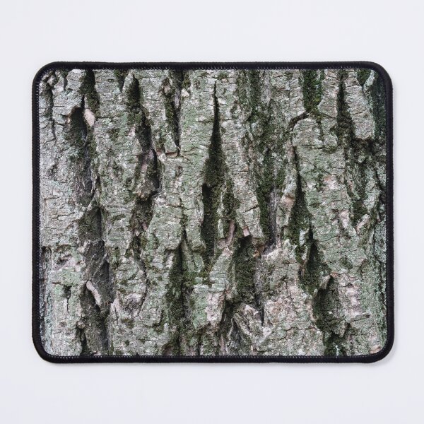 Item preview, Lichens Mosses and Grooves - Sculptural Tree Bark of a 100 Years Old Poplar designed and sold by Georgia Mizuleva.