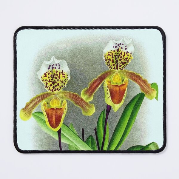 Item preview, Cypripedium insigne designed and sold by NightRaida.