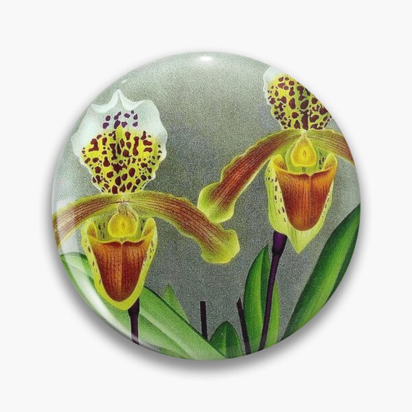 Item preview, Cypripedium insigne designed and sold by NightRaida.