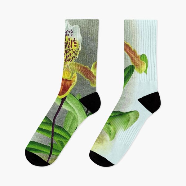 Item preview, Cypripedium insigne designed and sold by NightRaida.