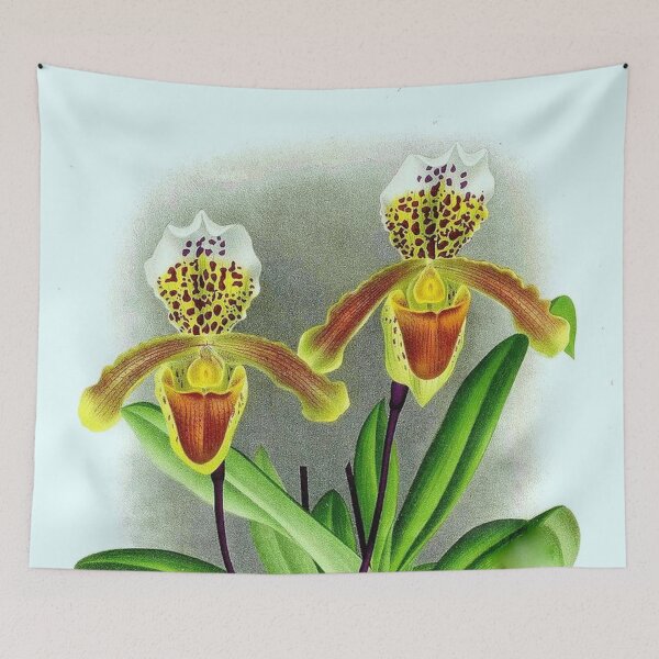 Item preview, Cypripedium insigne designed and sold by NightRaida.