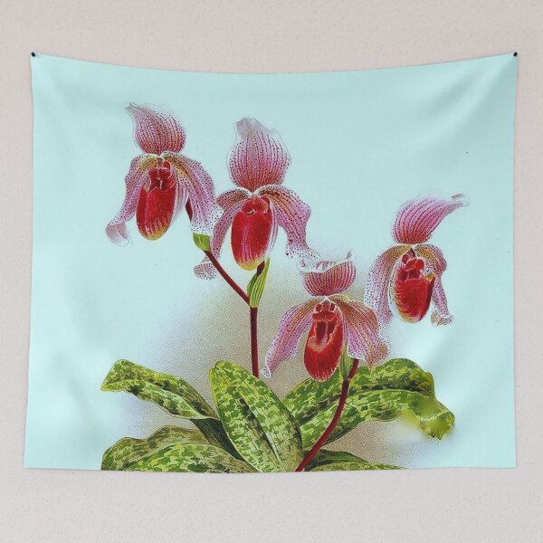 Item preview, Cypripedium x Lawrenceo-Regnieri bleu designed and sold by NightRaida.