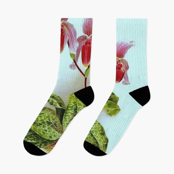 Item preview, Cypripedium x Lawrenceo-Regnieri bleu designed and sold by NightRaida.