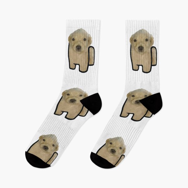 Item preview, Jotchua Dog Meme - HD designed and sold by Rzera-.