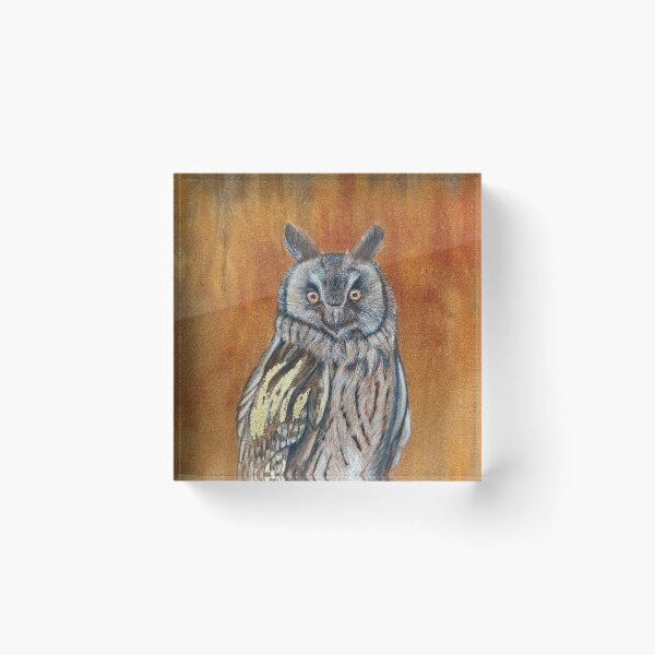 Item preview, Mystic University Of Tartu Rune Owl designed and sold by Joananature.