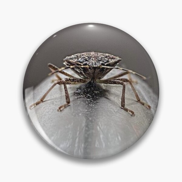 Item preview, Stink Bug Faucet Hug designed and sold by skelluce.