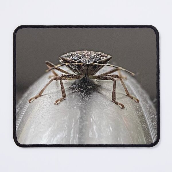 Item preview, Stink Bug Faucet Hug designed and sold by skelluce.