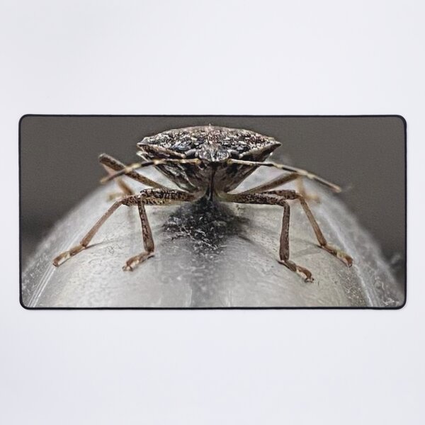 Item preview, Stink Bug Faucet Hug designed and sold by skelluce.