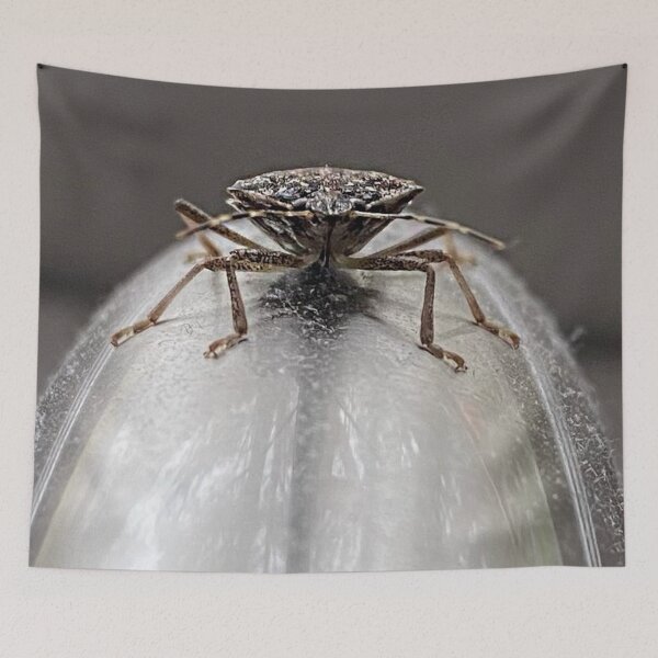 Item preview, Stink Bug Faucet Hug designed and sold by skelluce.