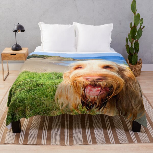 Item preview, At the beach Spinone designed and sold by FOLK ART FUSION by heidiannemorris.