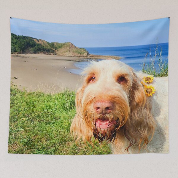 Item preview, At the beach Spinone designed and sold by FOLK ART FUSION by heidiannemorris.