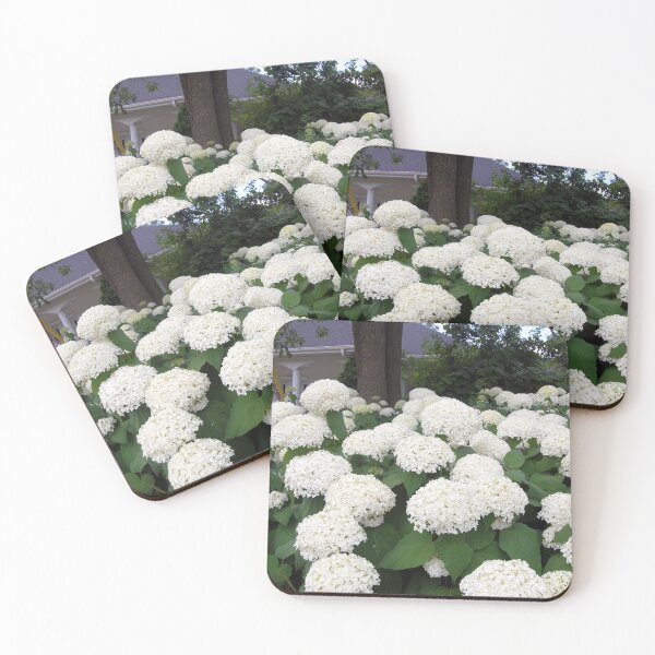 Item preview, White Hydrangea Landscape designed and sold by vanessaNotes.