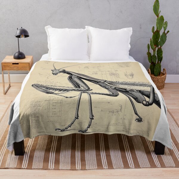 Item preview, Praying Mantis Blueprint designed and sold by lautir.