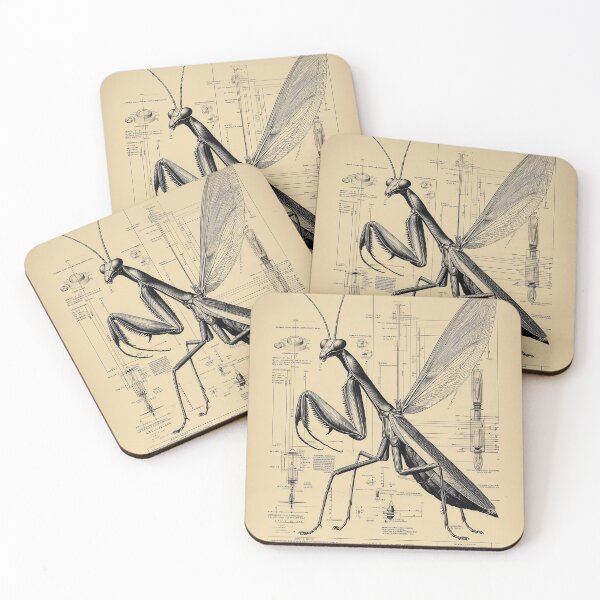 Item preview, Mantid Blueprint with Measurements designed and sold by lautir.