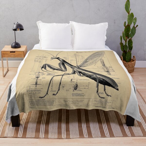 Item preview, Mantid Blueprint with Measurements designed and sold by lautir.