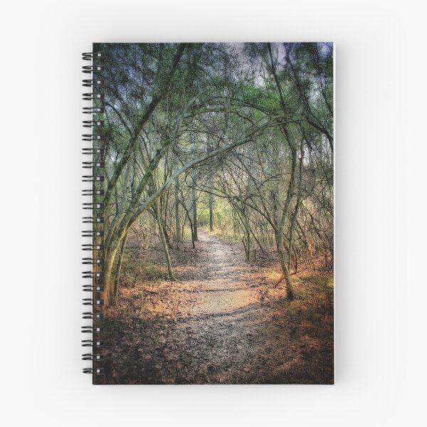 Item preview, Enchanted forest designed and sold by Lucent Horizon Studio.