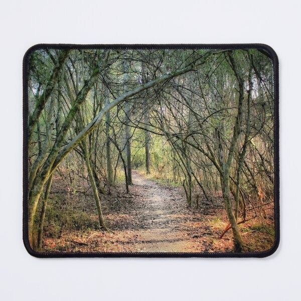 Item preview, Enchanted forest designed and sold by Lucent Horizon Studio.