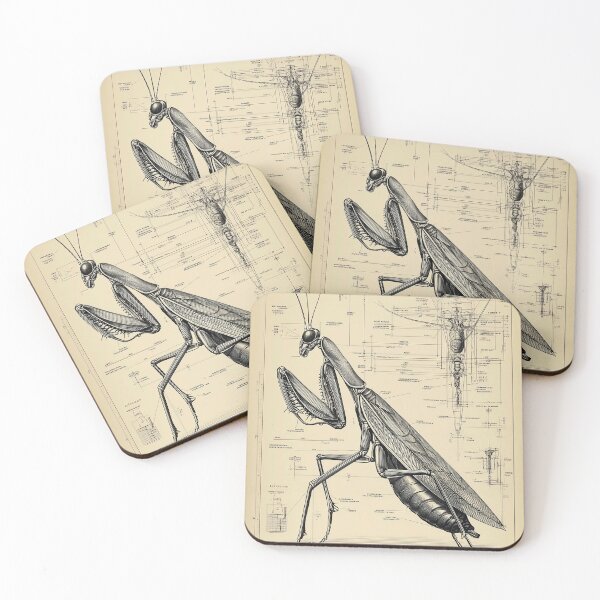 Item preview, Detailed Mantis Anatomy Blueprint designed and sold by lautir.