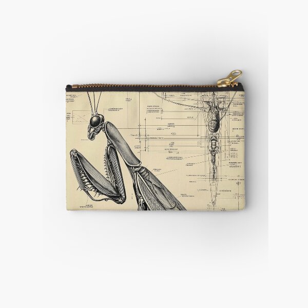 Item preview, Detailed Mantis Anatomy Blueprint designed and sold by lautir.