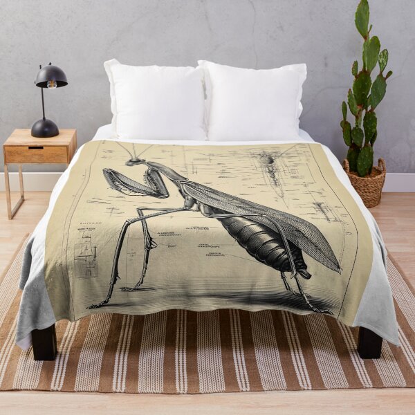 Item preview, Detailed Mantis Anatomy Blueprint designed and sold by lautir.