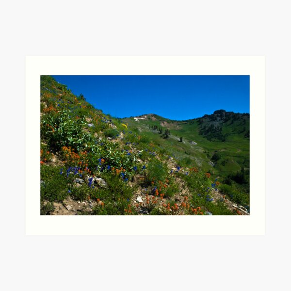 Mountain Blend Art Print