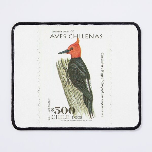 Item preview, Chile Magellanic Woodpecker Chilean Postage Stamp designed and sold by red-amber65.