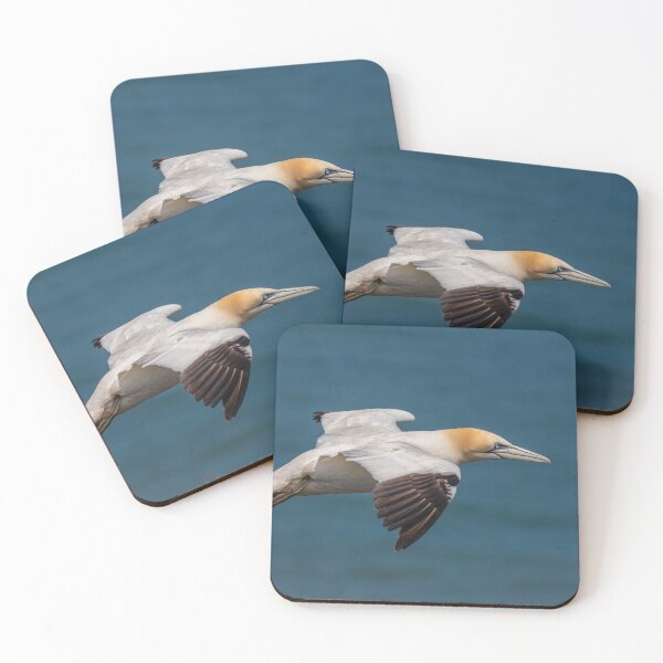 Item preview, Gannet - North Yorkshire UK  designed and sold by Ospreychild.