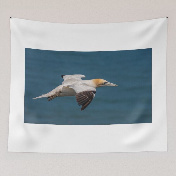 Item preview, Gannet - North Yorkshire UK  designed and sold by Ospreychild.