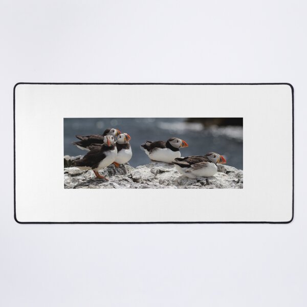 Item preview, Colony of Puffins - Northumberland Coast designed and sold by Ospreychild.