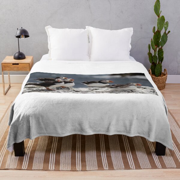 Item preview, Colony of Puffins - Northumberland Coast designed and sold by Ospreychild.