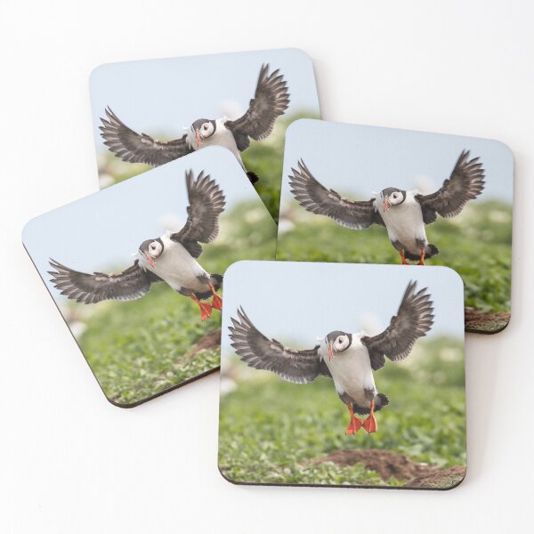 Item preview, Puffin landing - Northumberland Coast  designed and sold by Ospreychild.