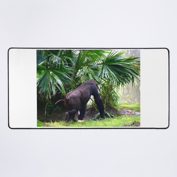 Item preview, Gorilla Among Lush Foliage designed and sold by MercerImages.
