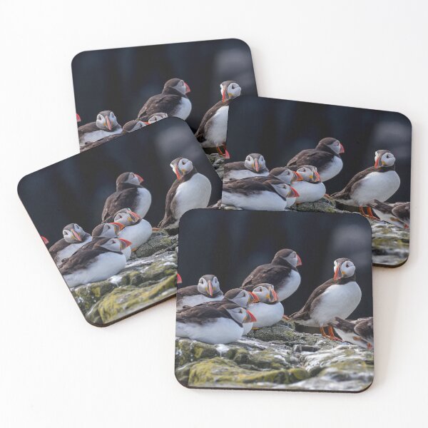 Item preview, A Colony of Puffins - Inner Hebrides Scotland  designed and sold by Ospreychild.