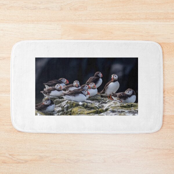 Item preview, A Colony of Puffins - Inner Hebrides Scotland  designed and sold by Ospreychild.