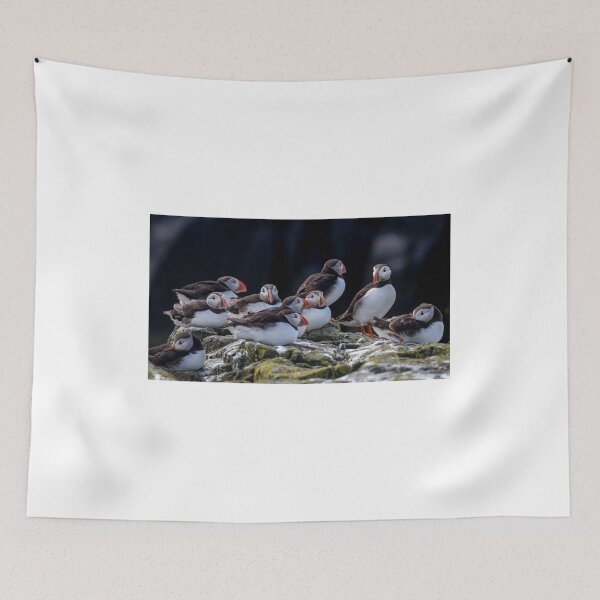 Item preview, A Colony of Puffins - Inner Hebrides Scotland  designed and sold by Ospreychild.