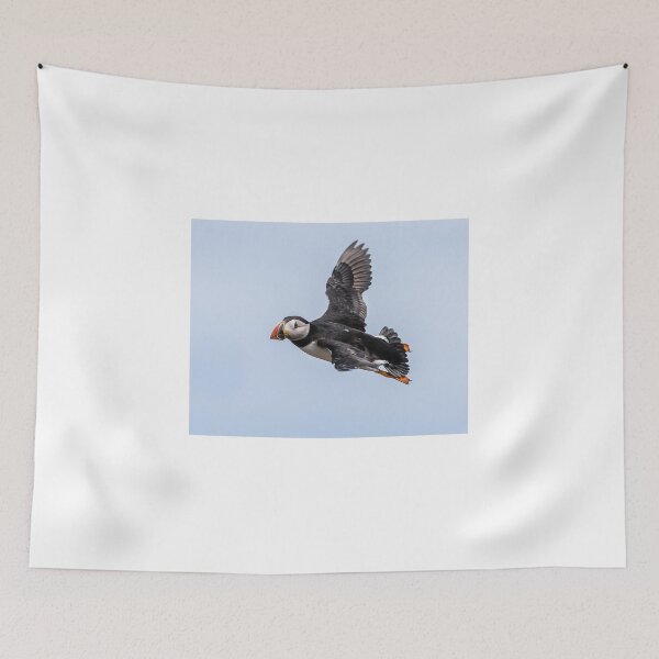 Item preview, Puffin in flight - Inner Hebrides Scotland  designed and sold by Ospreychild.