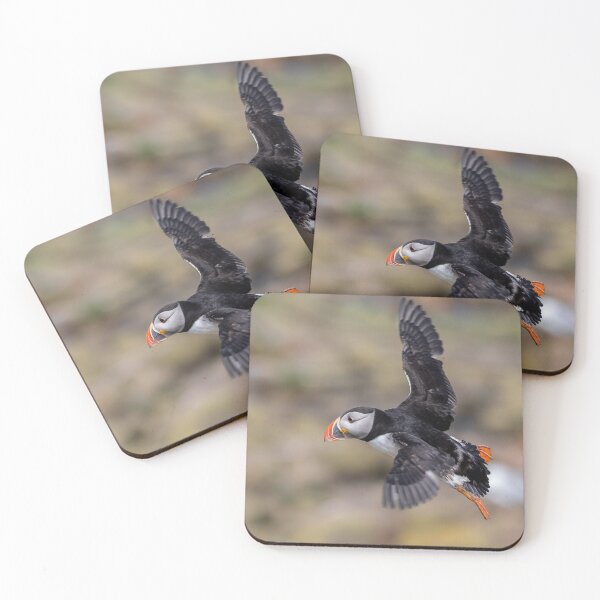 Item preview, Puffin in Flight - Inner Hebrides Scotland  designed and sold by Ospreychild.