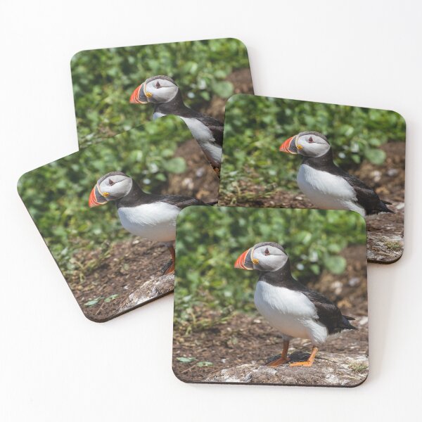 Item preview, Puffin - Northumberland Coast  designed and sold by Ospreychild.