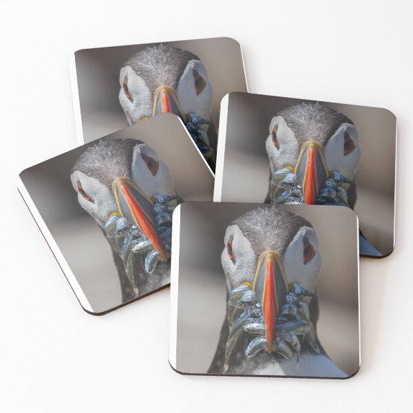 Item preview, Puffin close up with Sand Eels - Northumberland Coast  designed and sold by Ospreychild.
