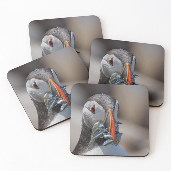 Item preview, Puffin with Sand Eels - Northumberland Coast  designed and sold by Ospreychild.