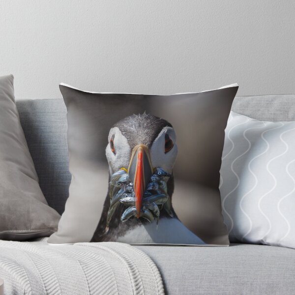 Item preview, Puffin Feeding - Northumberland Coast  designed and sold by Ospreychild.