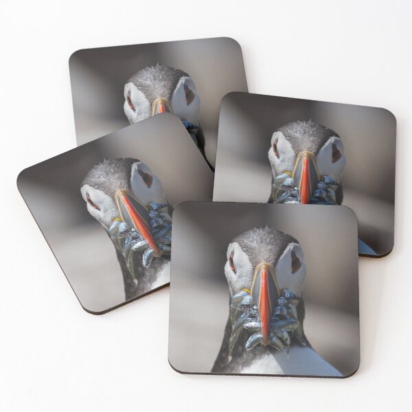 Item preview, Puffin Feeding - Northumberland Coast  designed and sold by Ospreychild.