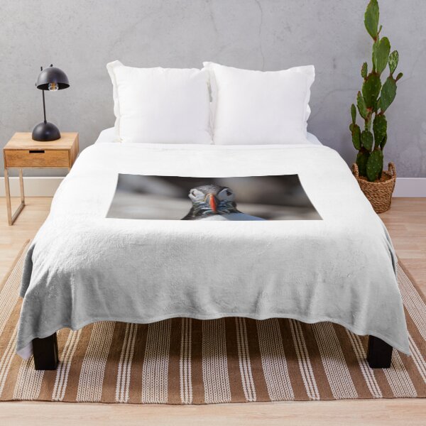 Item preview, Puffin Feeding - Northumberland Coast designed and sold by Ospreychild.