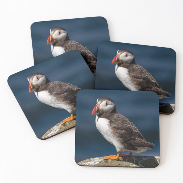 Item preview, Puffin - Northumberland Coast  designed and sold by Ospreychild.