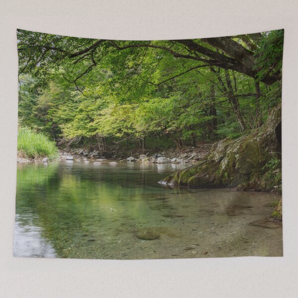 Item preview, Fresh Water Flowing Through Lush Mountain Forest Along the Kinomata River, Tochigi, Japan designed and sold by Pix4Japan.