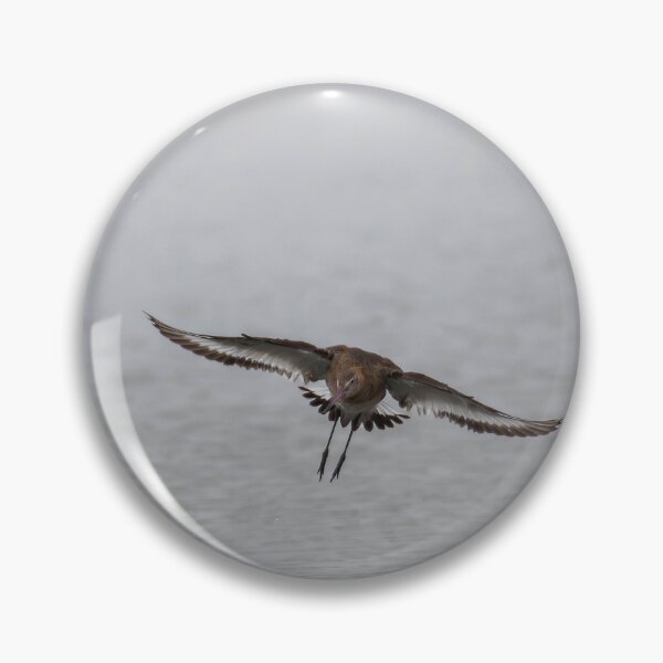 Item preview, Curlew designed and sold by MTPhotos1406.